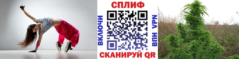 МАРИХУАНА сатива Сосновка